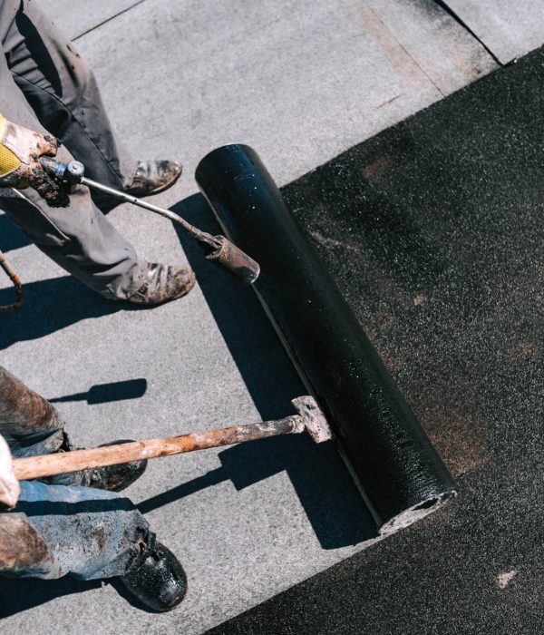 AdobeStock_367834031